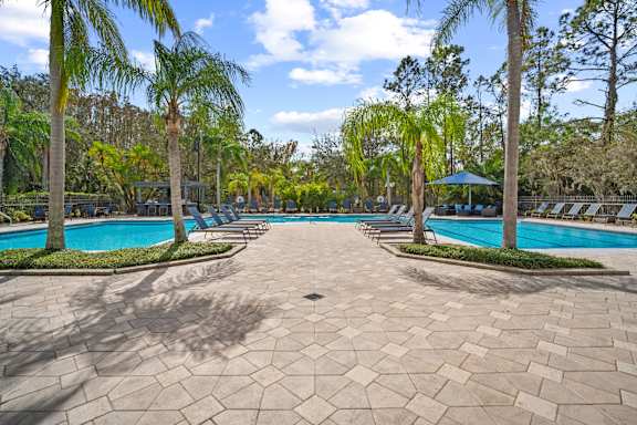 A large swimming pool surrounded by palm trees and a stone patio at The Grand Reserve at Tampa Palms Apartments, Tampa, Florida
