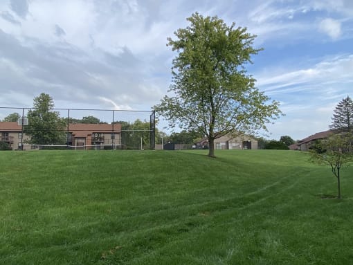 Basswood Apartments photo