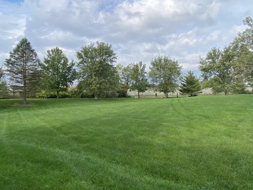Basswood Apartments