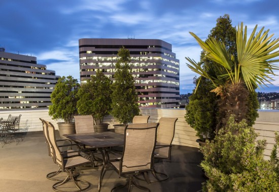 Outdoor Lounge Area