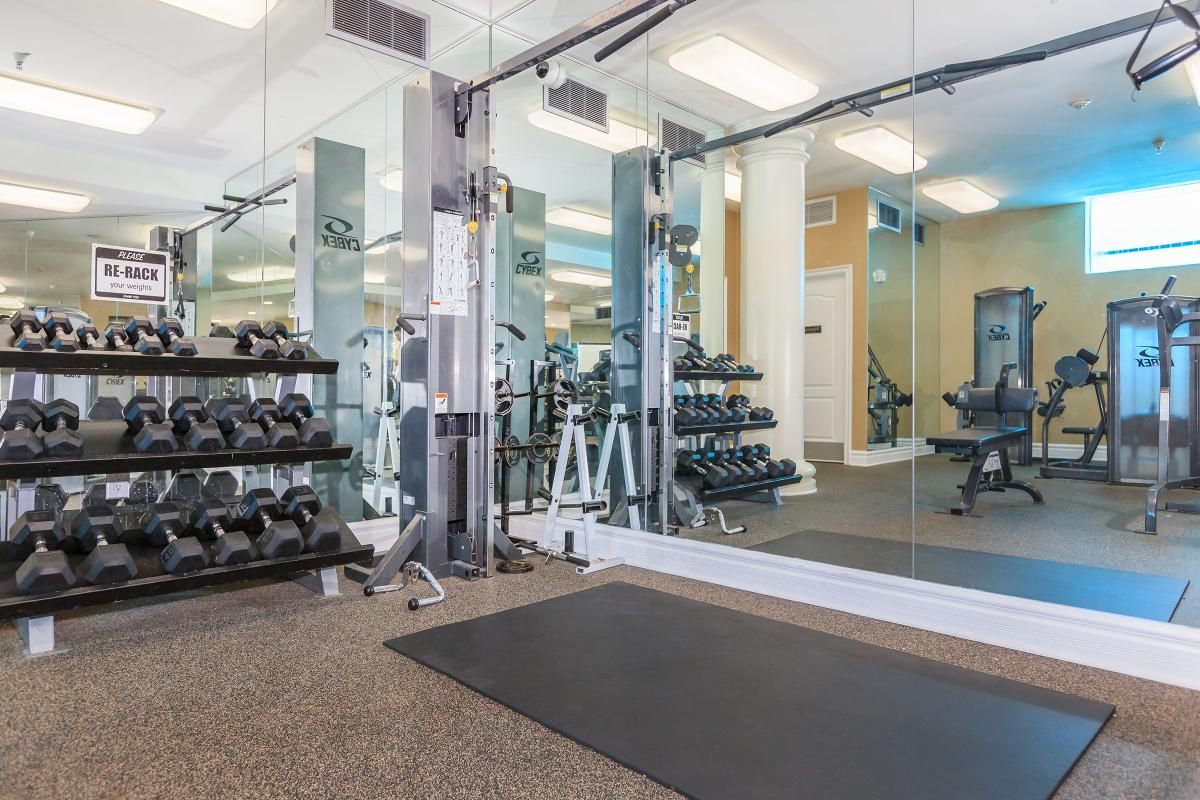 WEIGHT TRAINING MACHINES
