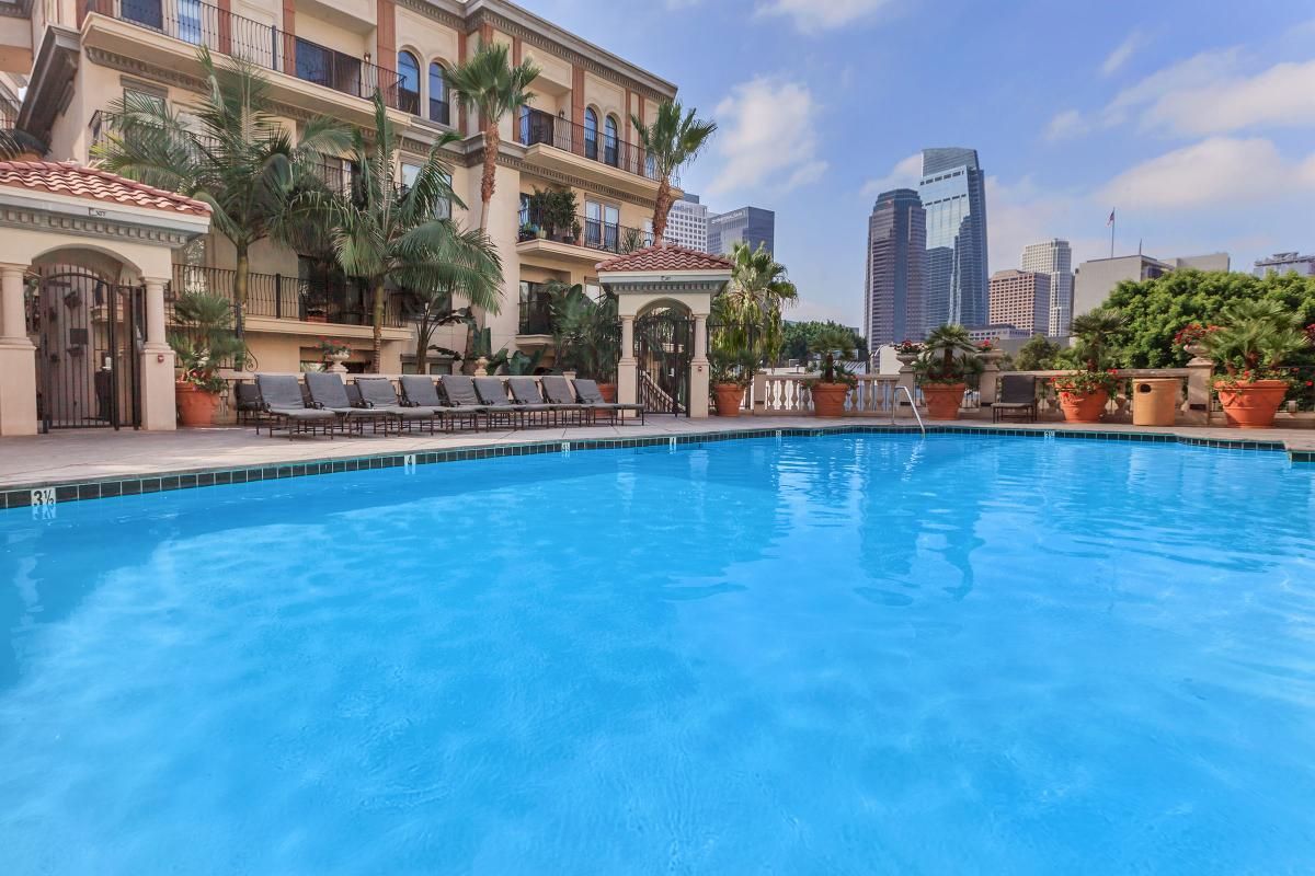 A clear blue swimming pool surrounded by lounge chairs and decorative potted plants. In the background, a charming building with multiple balconies features lush palm trees. The city skyline with modern skyscrapers is visible under a bright sky.