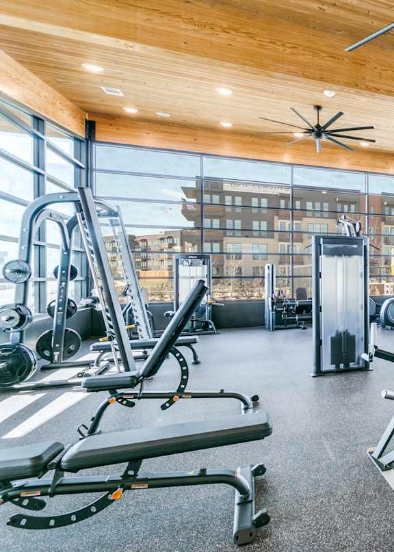 A gym with a variety of equipment including treadmills, weights, and a stationary bike.