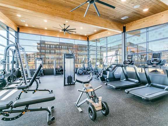 A gym with a variety of equipment including treadmills, weights, and a stationary bike.