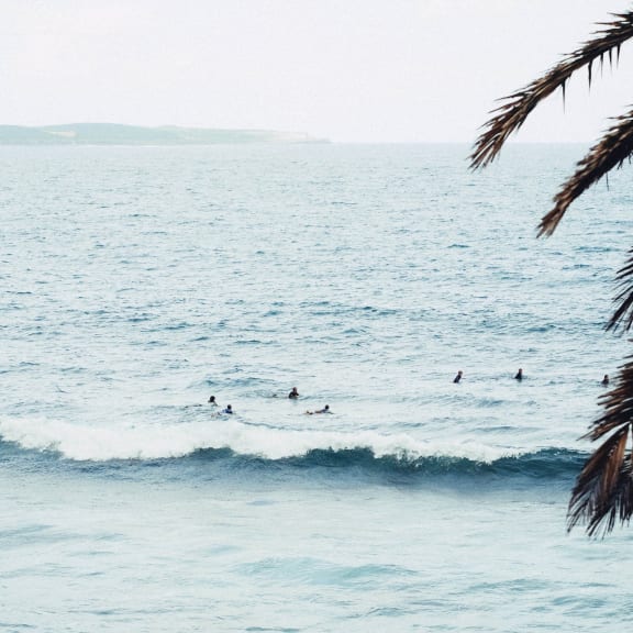 three surfboards sticking out of the sand on the beach