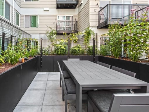 Seattle, WA, Pet-Friendly Apartments - Origin - Outdoor Courtyard Dining Area with Concrete Tile Flooring, a Long Gray Table with Cushioned Gray Chairs, and Surrounding Black Planter Walls with Greenery and a View of the Property Building.