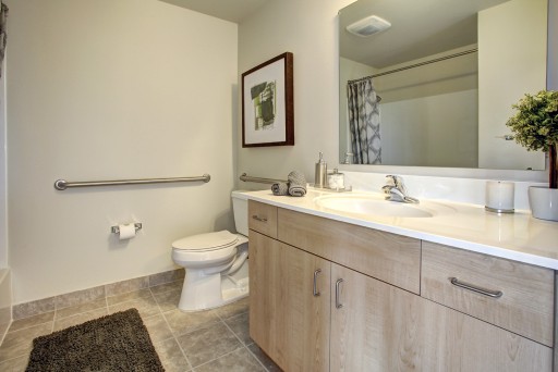 Hodge on 7th bathroom with new wood cabinets and white fixtures