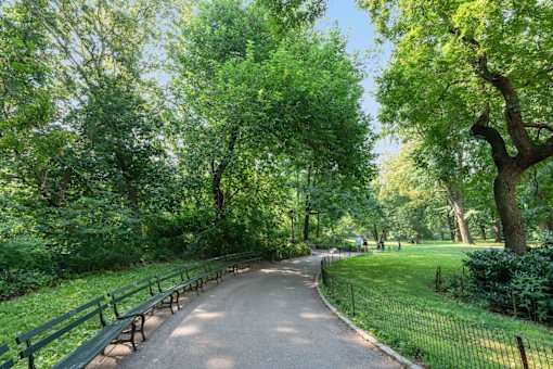 A tree-lined path in a park.