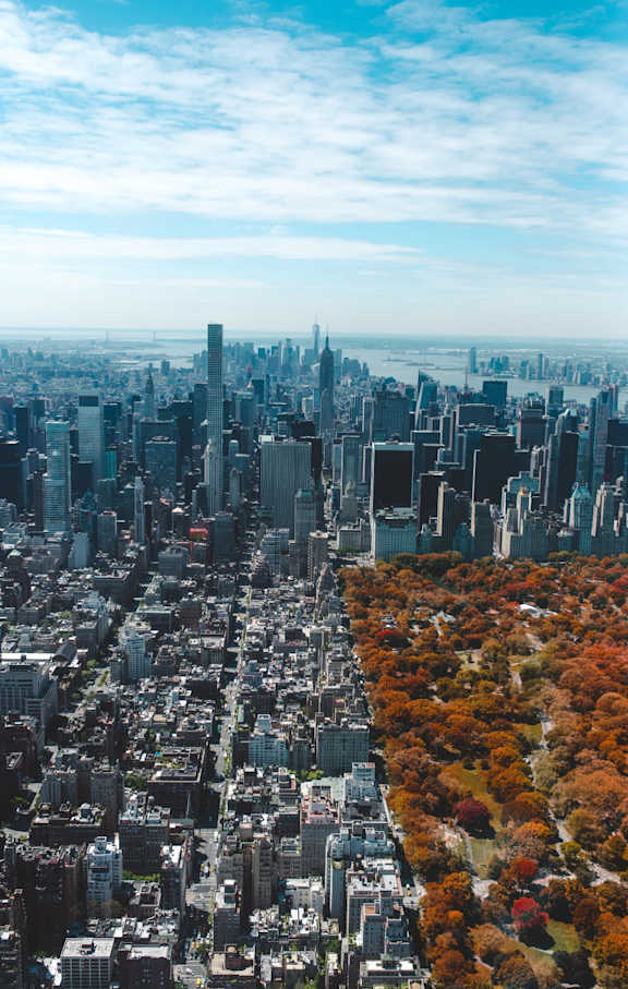 A cityscape with a dense urban area and a park with autumn trees.