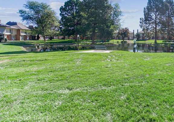 A sunny day in a park with a pond and trees. at The Lex At Lowry, Denver, Colorado