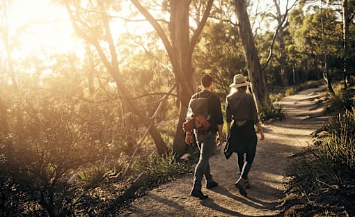 Two people walking on a path in a sunny forest.