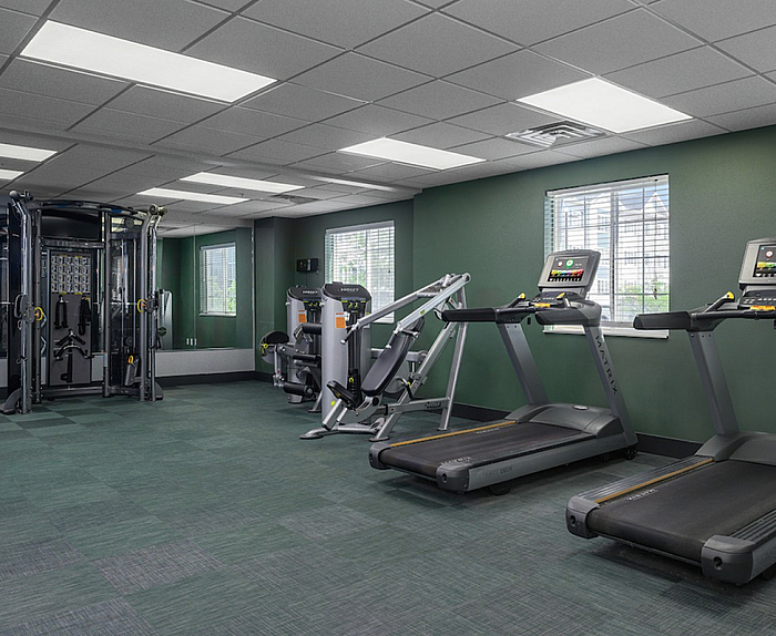 Modern gym facility featuring state-of-the-art treadmills, strength-training equipment, and large windows providing natural light.