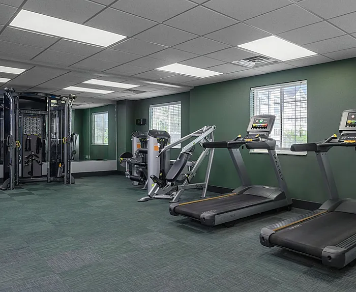 Modern gym facility featuring state-of-the-art treadmills, strength-training equipment, and large windows providing natural light.