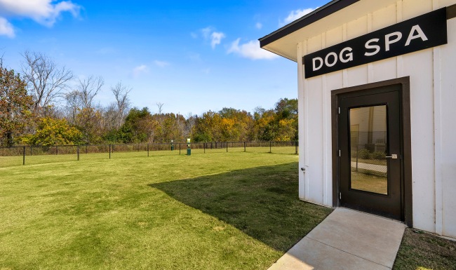 Dog Spa