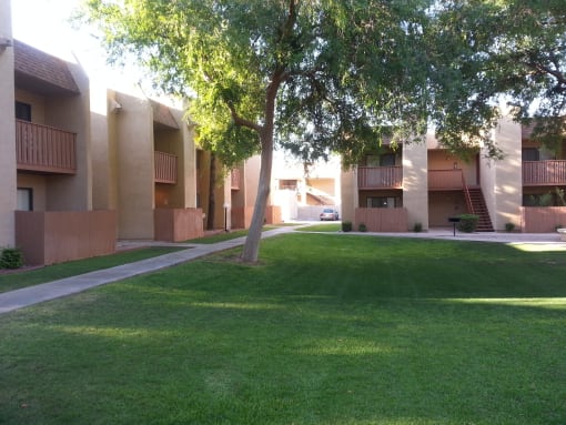 Desert Meadows apartments grass courtyard