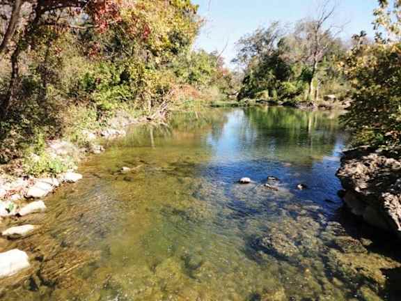 The Creek