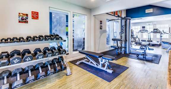 A gym with a variety of equipment including dumbbells, weight plates, and a bench press.