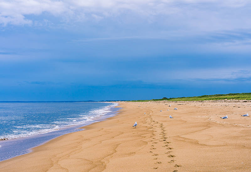 Secluded beach with seagulls at Halstead Haverhill location