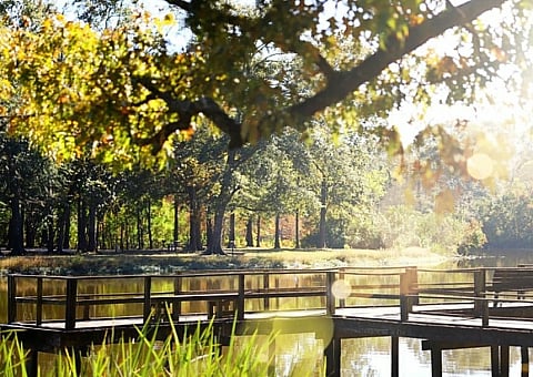 Lefleur's Bluff State Park
