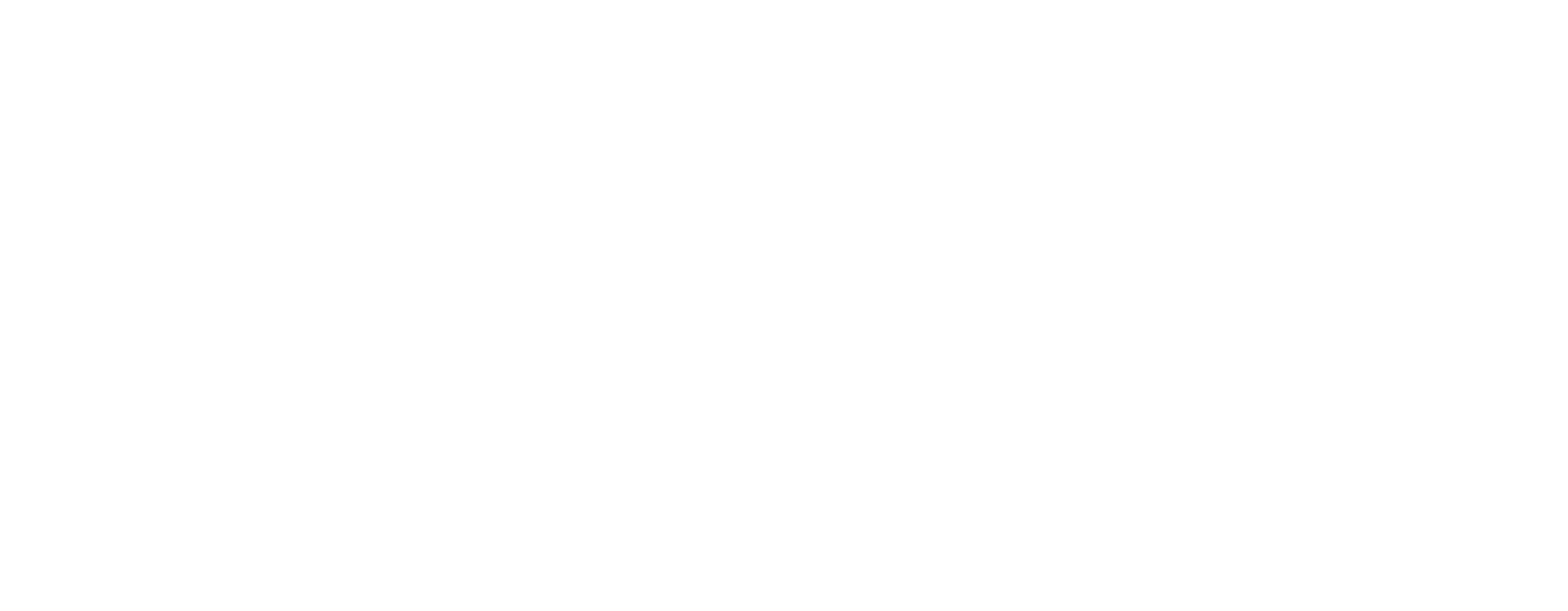 Satori Town Center photo