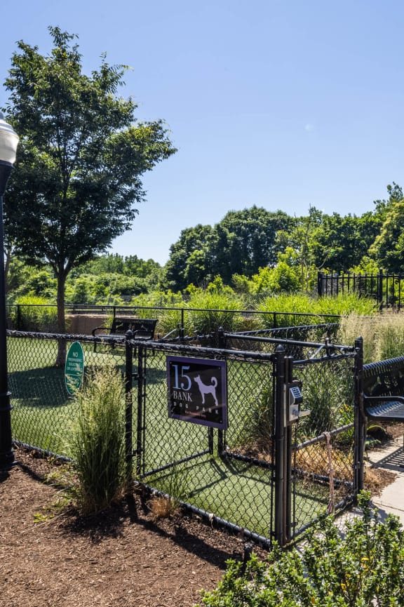 Pet Park at 15 Bank Apartments, White Plains, NY, New York, 10606