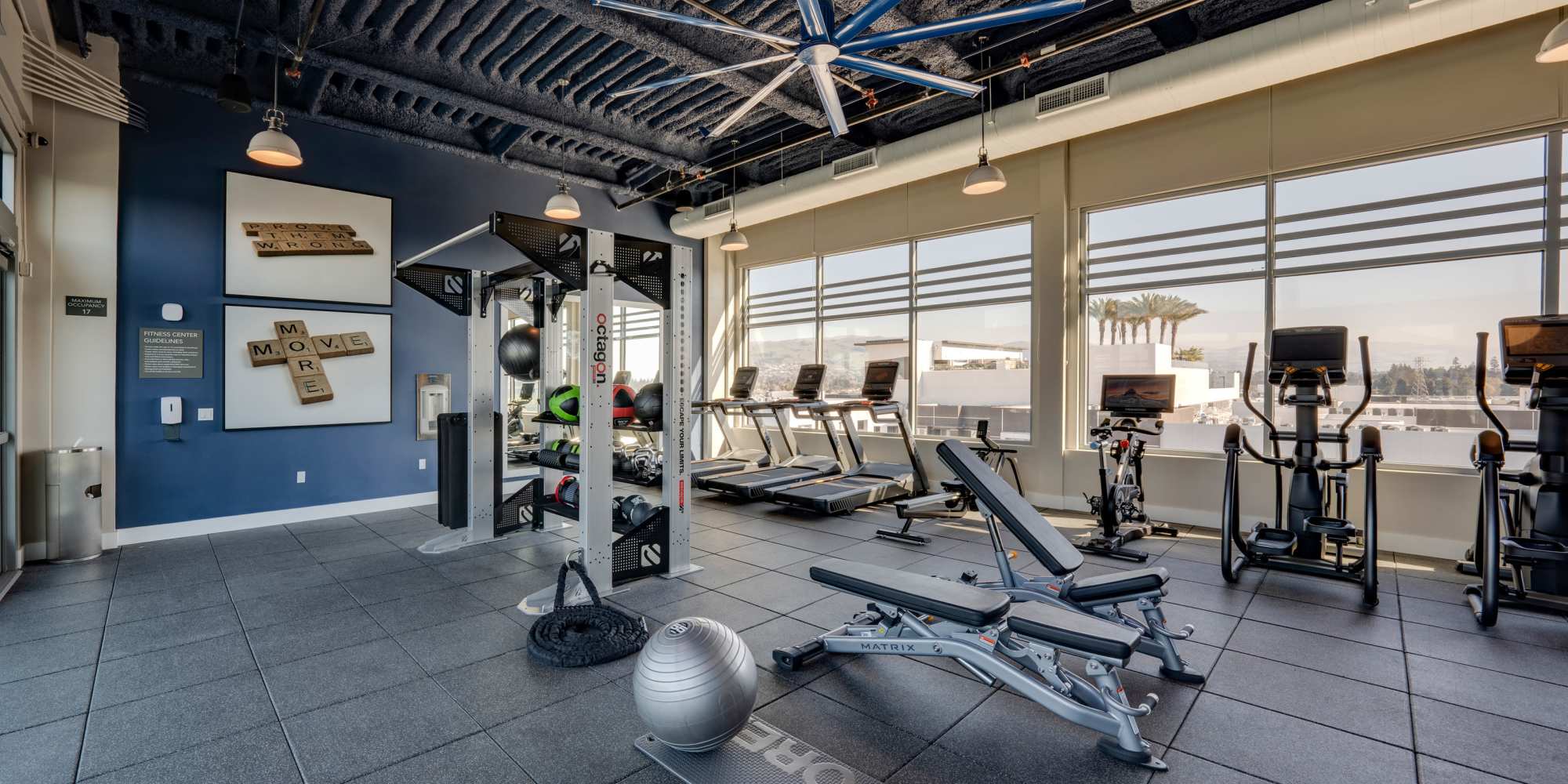 Apartments at The Harlowe in Milpitas, California