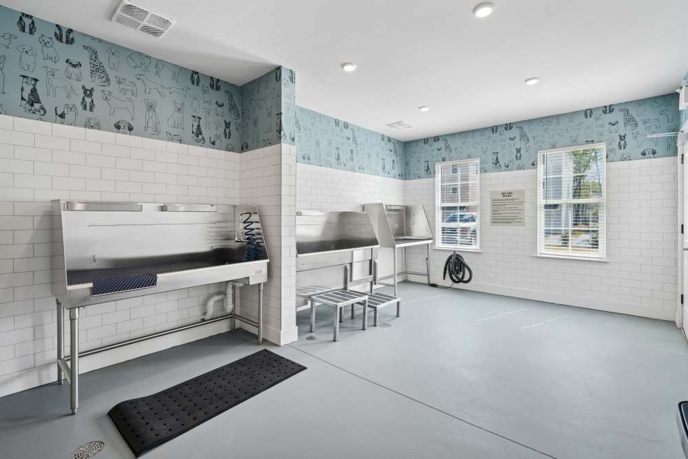 Pet cleaning area at Hamlet Huntersville in Huntersville, North Carolina