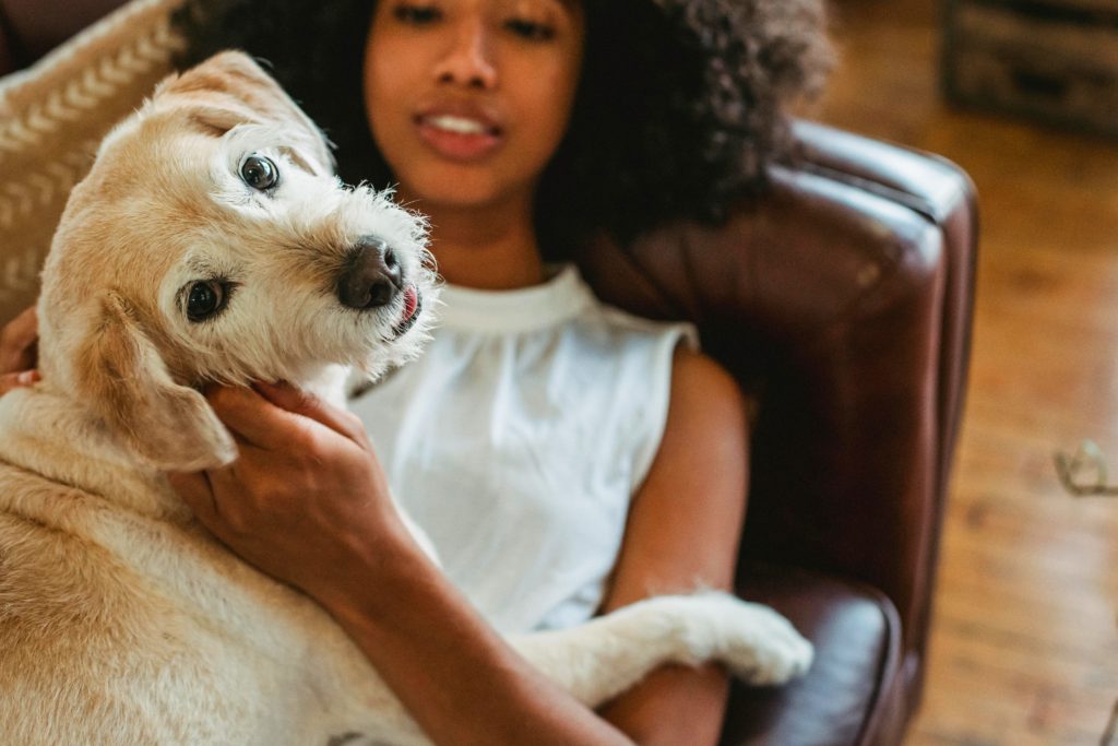 dog with pet owner holding dog's face at Alexan 505
