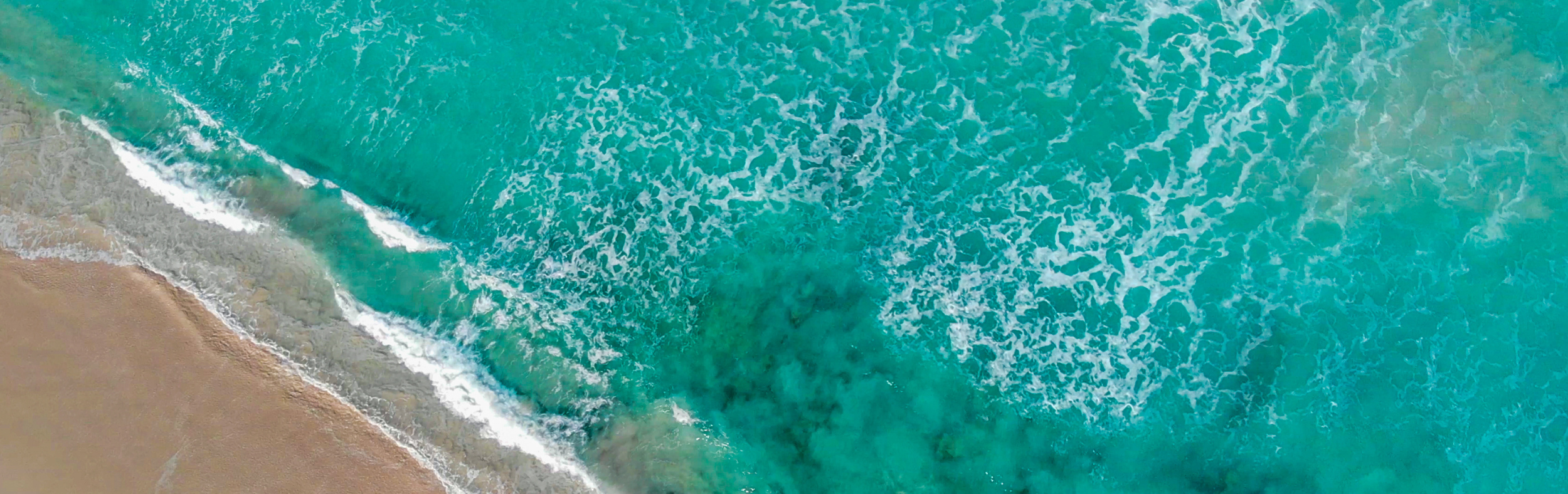Ocean Arms