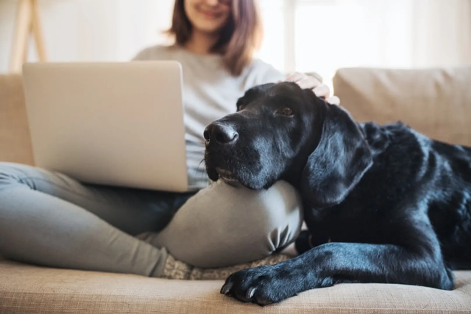 Woman and dog on couch