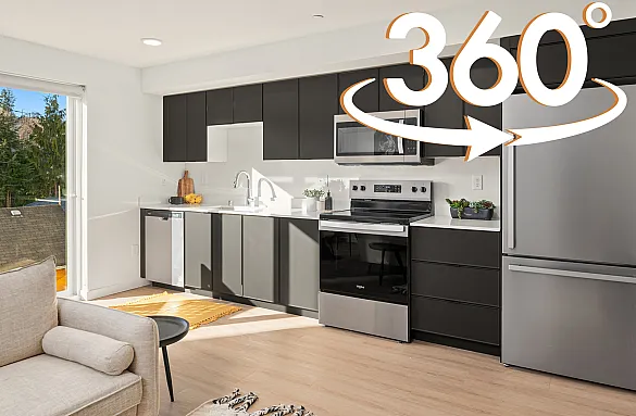Bright and modern kitchen design with sleek black cabinetry, stainless steel appliances, and large windows offering natural light.