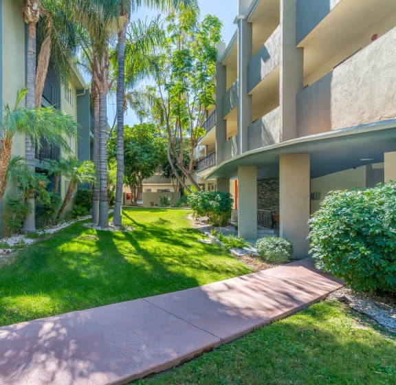 Outside grassy area with palm trees