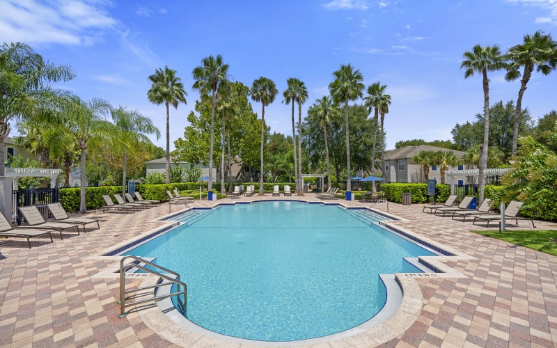 a pool with trees around it