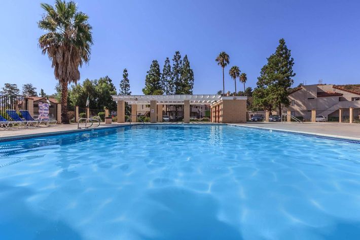 A clear blue swimming pool surrounded by palm trees and tall greenery, with a building structure visible in the background under a bright blue sky.