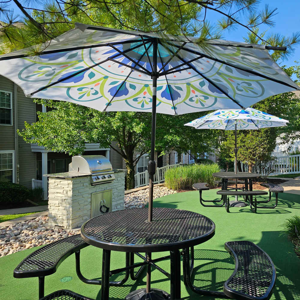 Community patio with grilling area at Boulder Springs in Maryland Heights, Missouri.