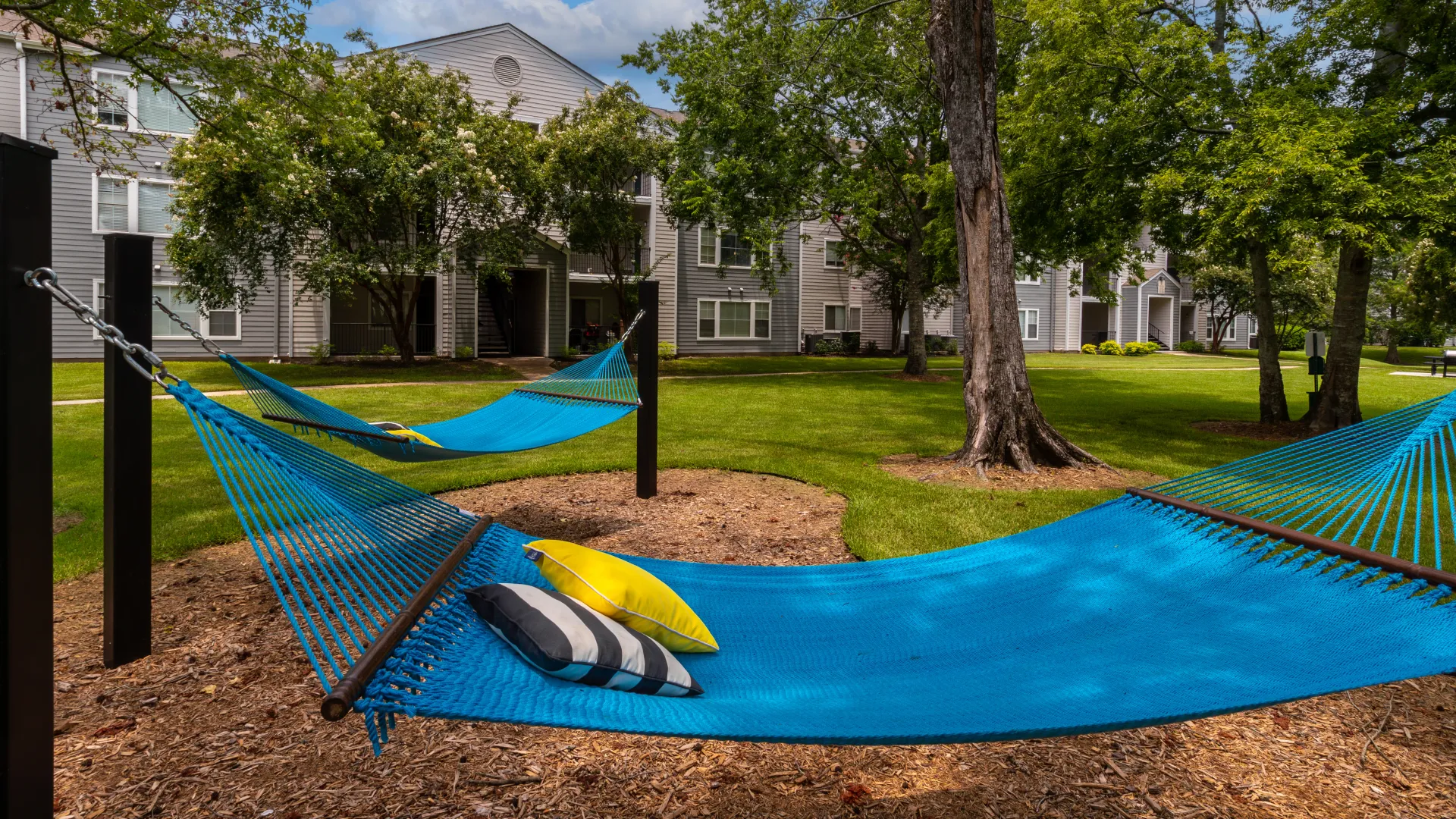 hammocks