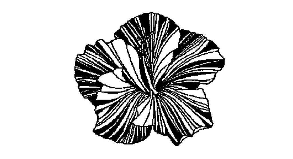 centered image