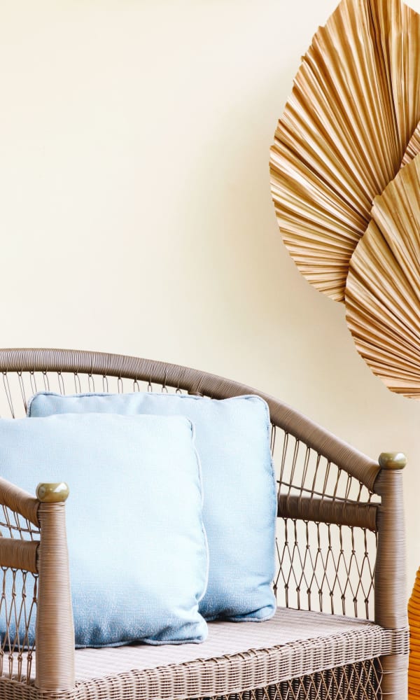 View of a couch and decoration at Tortola in Zephyrhills, Florida