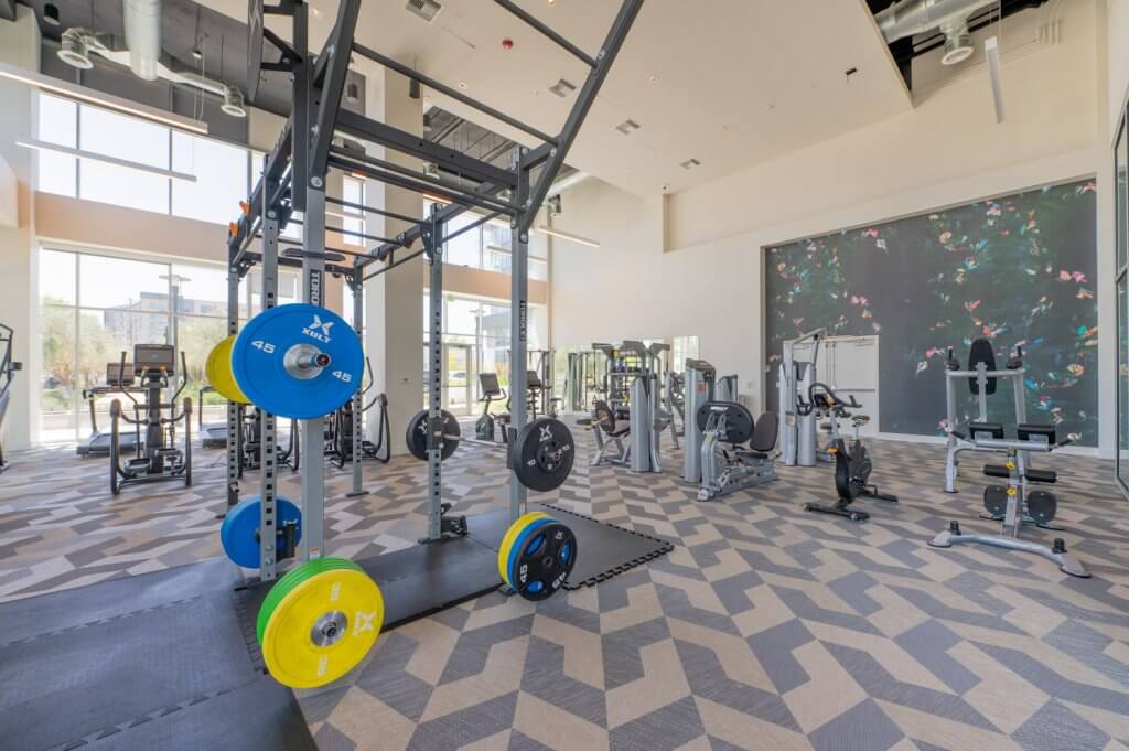 Well-equipped gym area with weight machines and free weights in a fitness center.