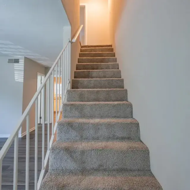 A view of carpeted stairs leading upward in a well-lit hallway.