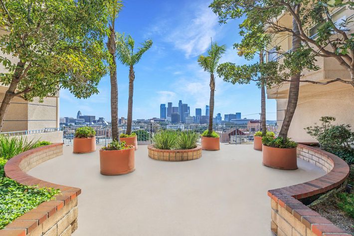 A cityscape view from a terrace or balcony, featuring potted plants and palm trees, with modern buildings in the background under a clear blue sky.