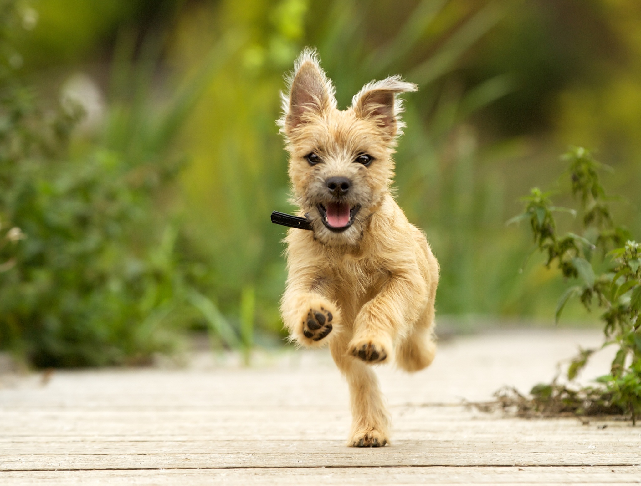 Istock 527135315