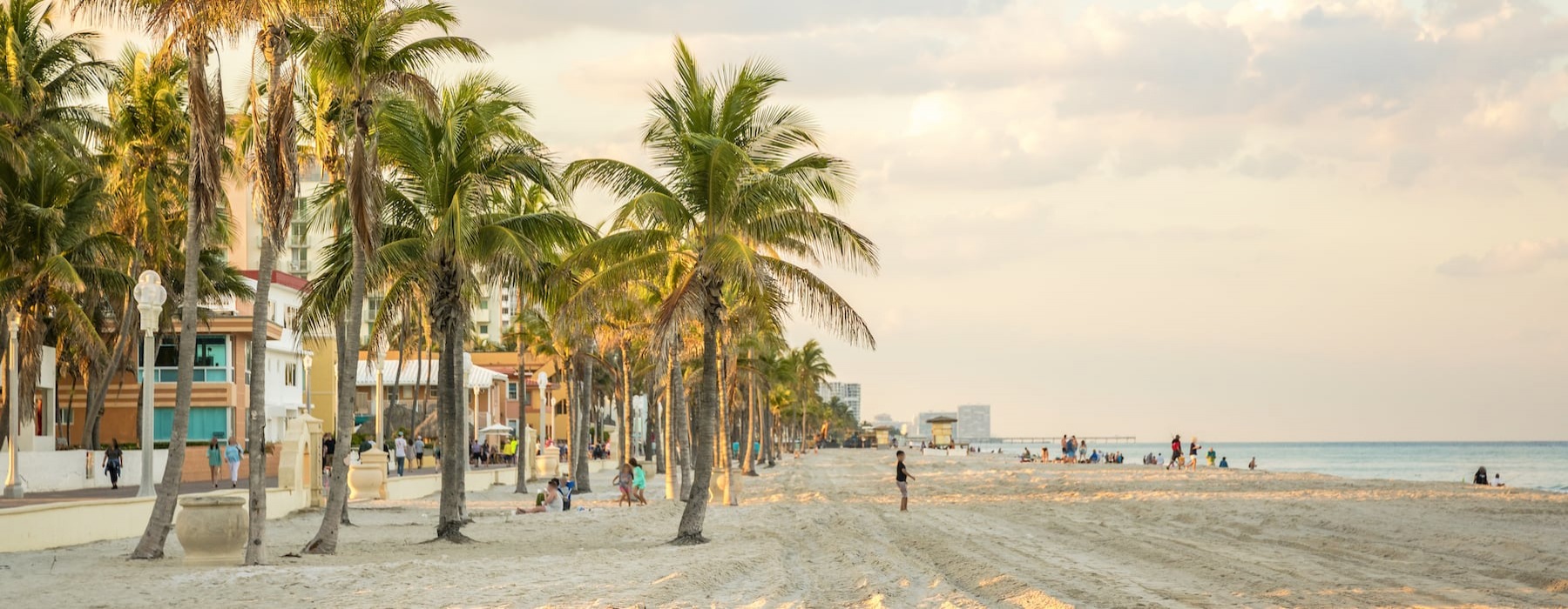 lifestyle image of a beach showing palm trees and sunset shadows