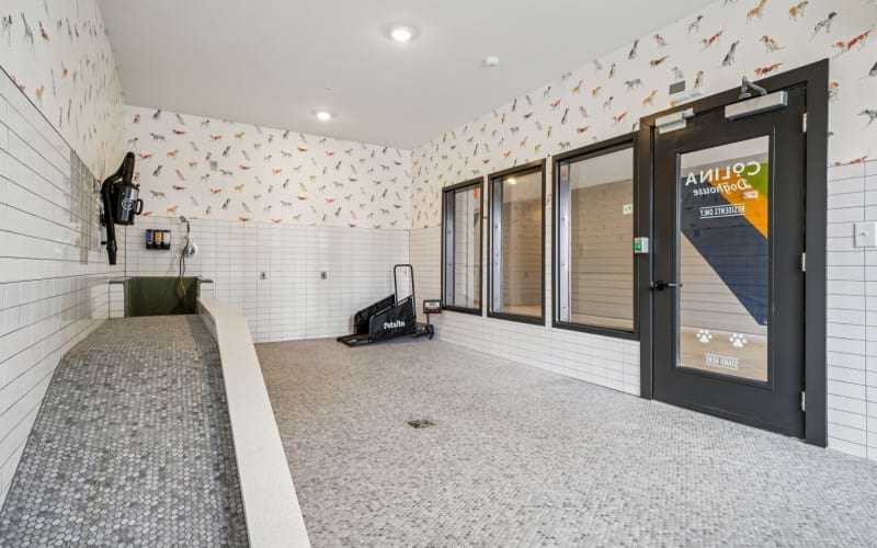 Indoor pet spa washing area at Colina Hillside Hoover, AL