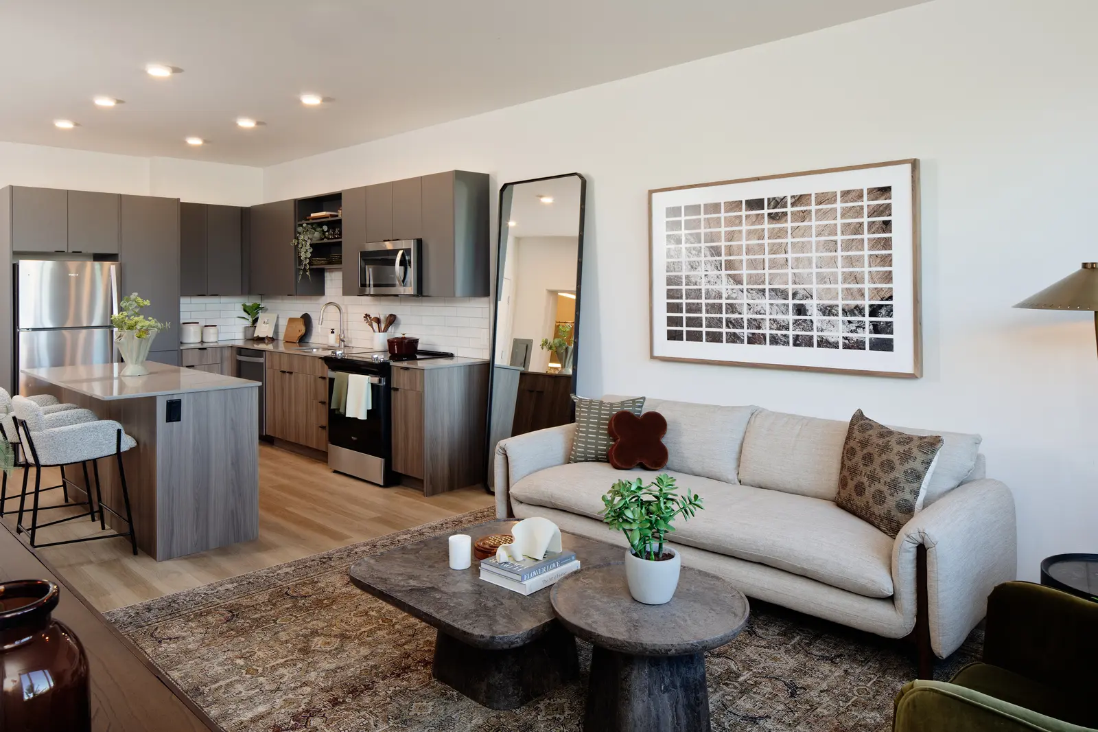 Living Room / Kitchen