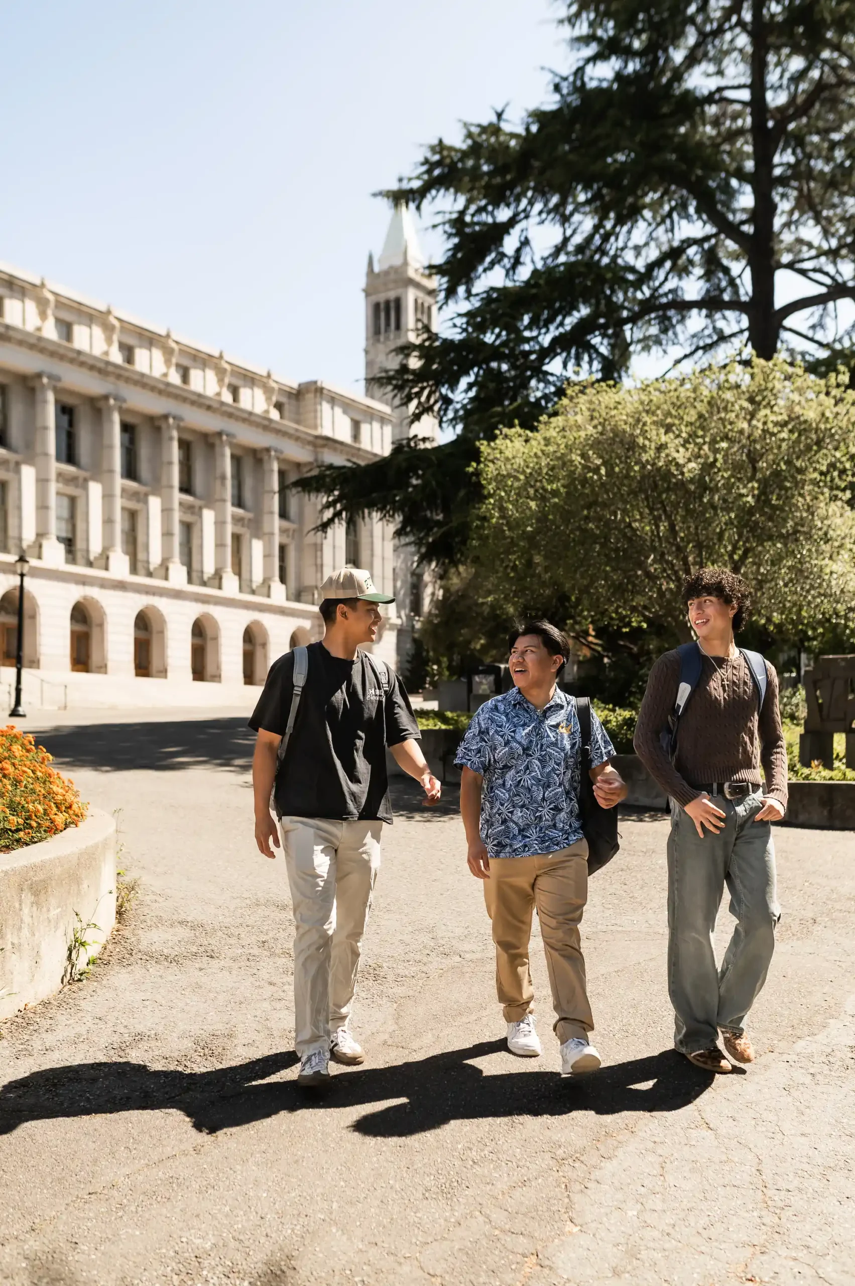 Pique Berkeley