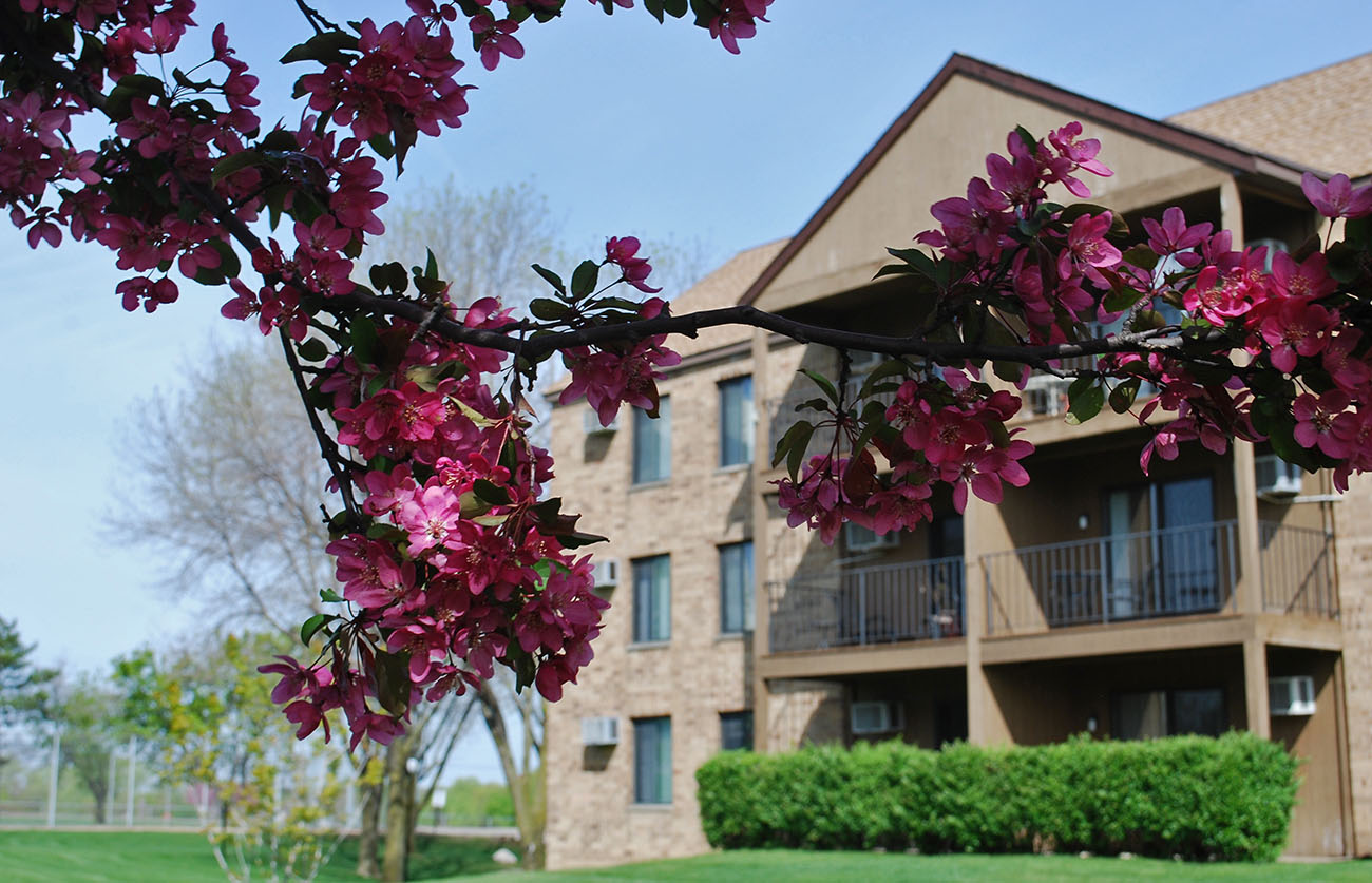 Find beauty and simplicity in ample outdoor space