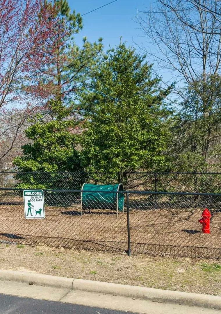 dog park