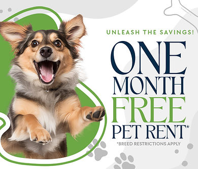 Waterford Square - Dog Friendly Special - With Offer.jpg
