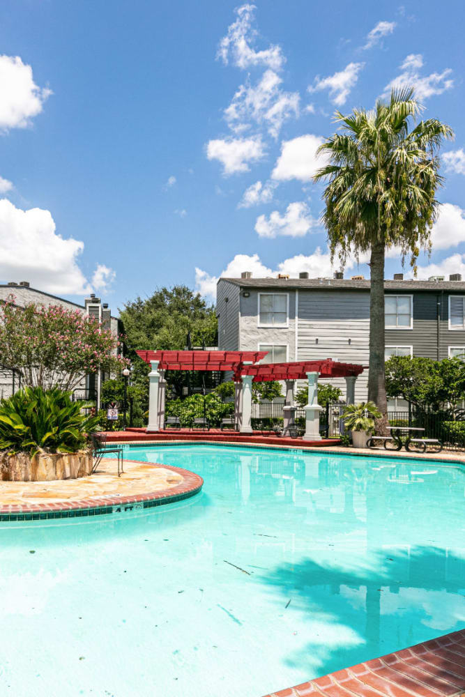Palm tree by the sparkling pool at The One at 5959 in Houston, Texas